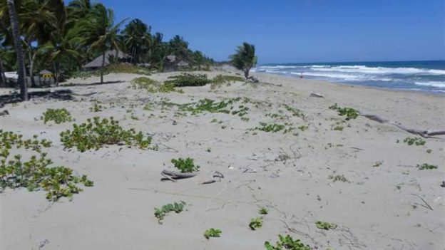 Dominican Republic Real Estate – Cabarete Beach Front Development Vacant Land For Sale
