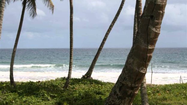 Gaspar Hernandez Ocean Front Land For Sale – Las Canas Dominican Republic Vacant Beach Land