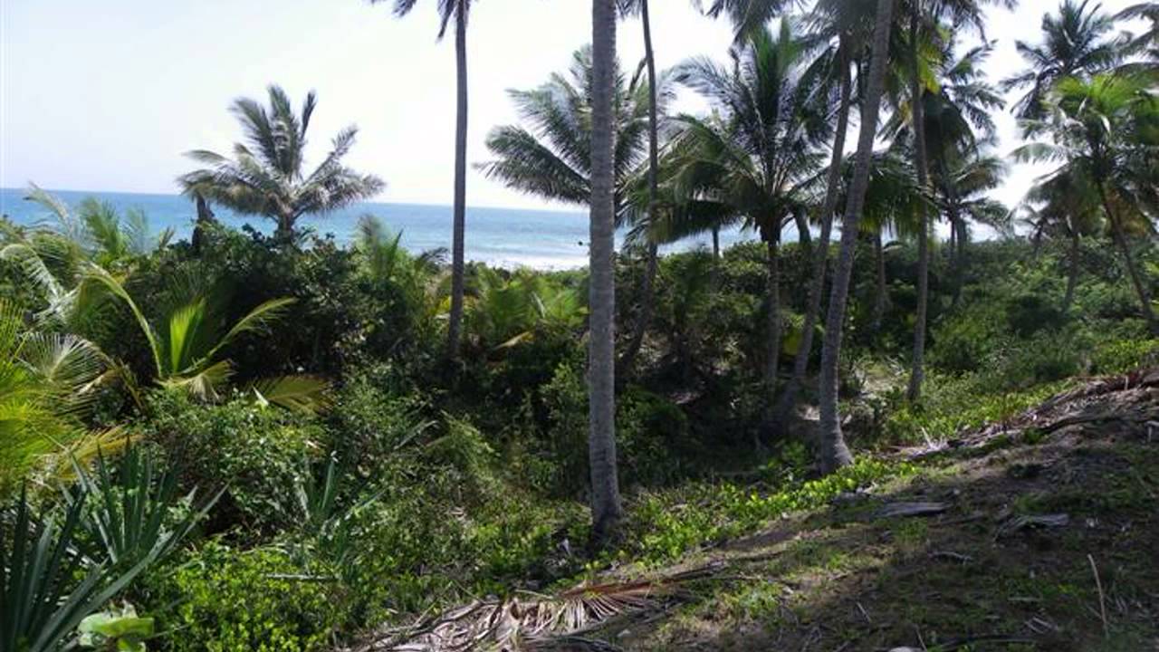 Beachfront Land For Sale in the Dominican Republic Gaspar Hernandez Beach Front Acreage
