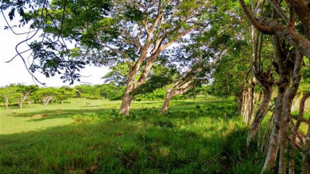 Dominican Republic Land For Sale-Cabarete Land to Build Your Caribbean Villa