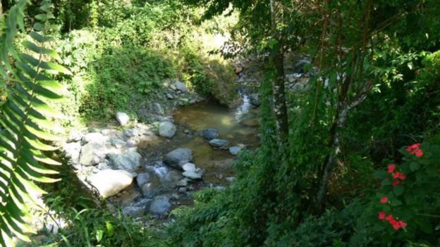 Dominican Republic Real Estate Mountain Land in Jarabacoa! Unique Caribbean Property Dominican Republic Real Estate Mountain Land in Jarabacoa! Unique Caribbean Property