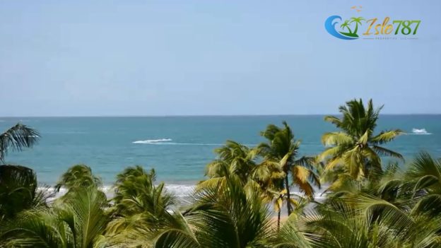 Palm trees blowing in the tropical breeze – Ocean Villas #8291 by Isle 787 Properties Palm trees blowing in the tropical breeze – Ocean Villas #8291 by Isle 787 Properties