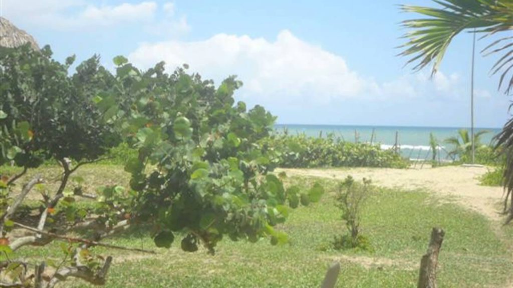Affordable Beach Front Land For Sale Near Cabarete Dominican Republic Land Beach