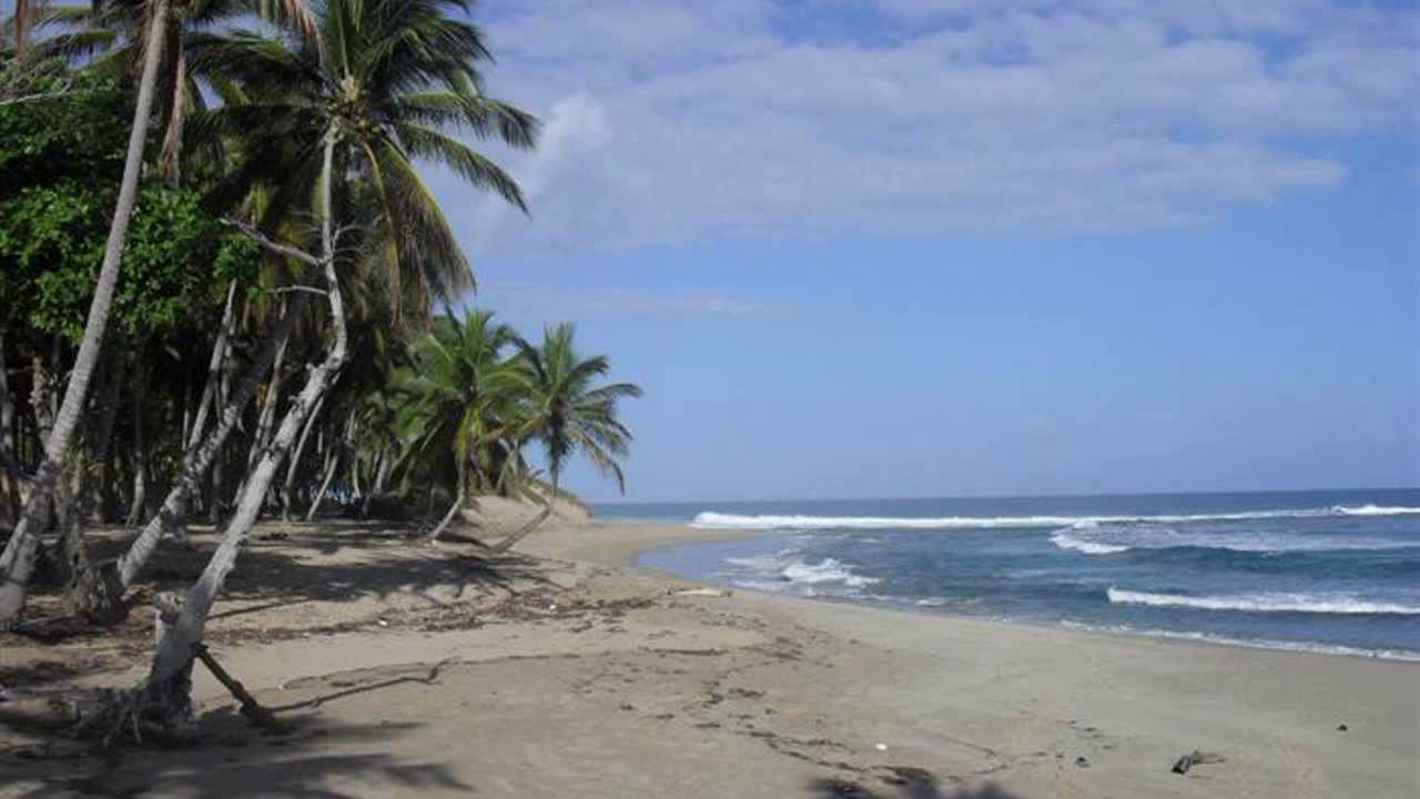 Caribbean Land For Sale Prime Cabarete Beach Front Acreage in the