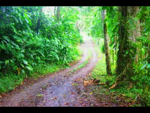 Costa Rica Sea View Land