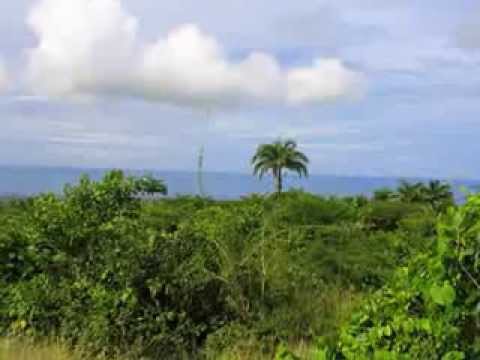 Land for Sale in Nevis