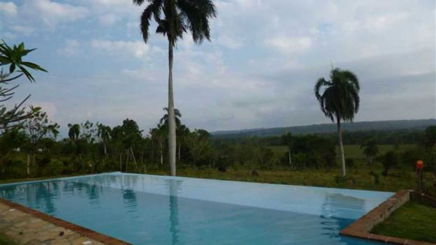 15 Acre Dairy Farmland Near Cabarete in the Dominican Republic – Tax Free Farming Business 15 Acre Dairy Farmland Near Cabarete in the Dominican Republic – Tax Free Farming Business