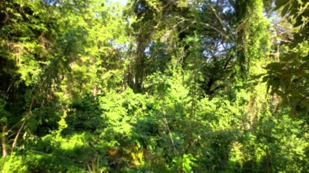 Affordable Sosua Residential Lot For Sale – Dominican Republic Land For Sale Sosua Affordable Sosua Residential Lot For Sale – Dominican Republic Land For Sale Sosua