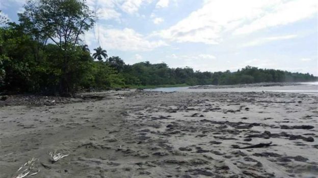 Beach Front Acreage Near Cabarete For Sale – 30 Acres Beach Front in Gaspar Hernandez DR