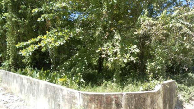 Cabarete Residential Building Lot Near Beach – Dominican Republic Real Estate Cabarete Corner Lot Cabarete Residential Building Lot Near Beach – Dominican Republic Real Estate Cabarete Corner Lot