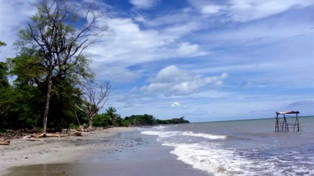 Dominican Republic Land – 43 Acres of Unspoiled Caribbean Beachfront Property Dominican Republic Land – 43 Acres of Unspoiled Caribbean Beachfront Property