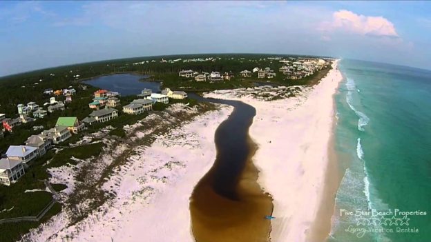 Peaceful Pelican Peaceful Pelican