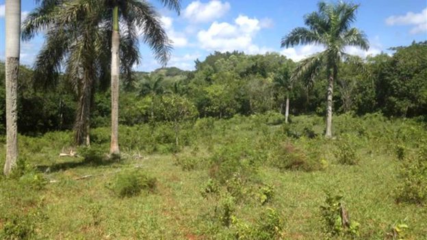 Sosua Residential and Commerical Vacant Land For Sale – 275 Acres El Choco Sosua Sosua Residential and Commerical Vacant Land For Sale – 275 Acres El Choco Sosua