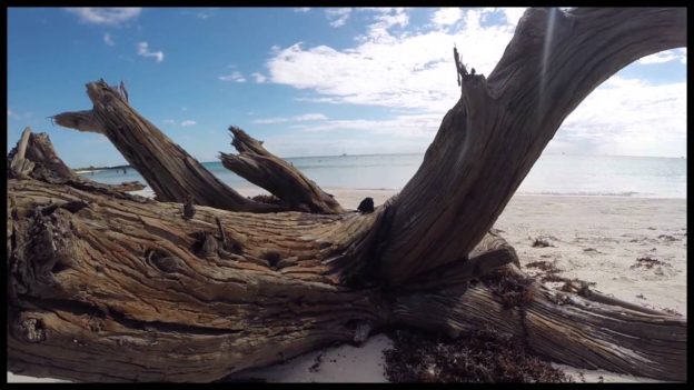 XPU HA Beach Aerials Riviera Maya Mexico XPU HA Beach Aerials Riviera Maya Mexico