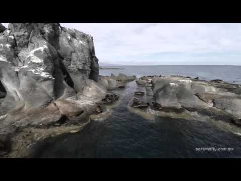 Best Caribbean Property your real estate in Playa del Carmen