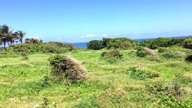 Unique Cabrera Ocean front lot