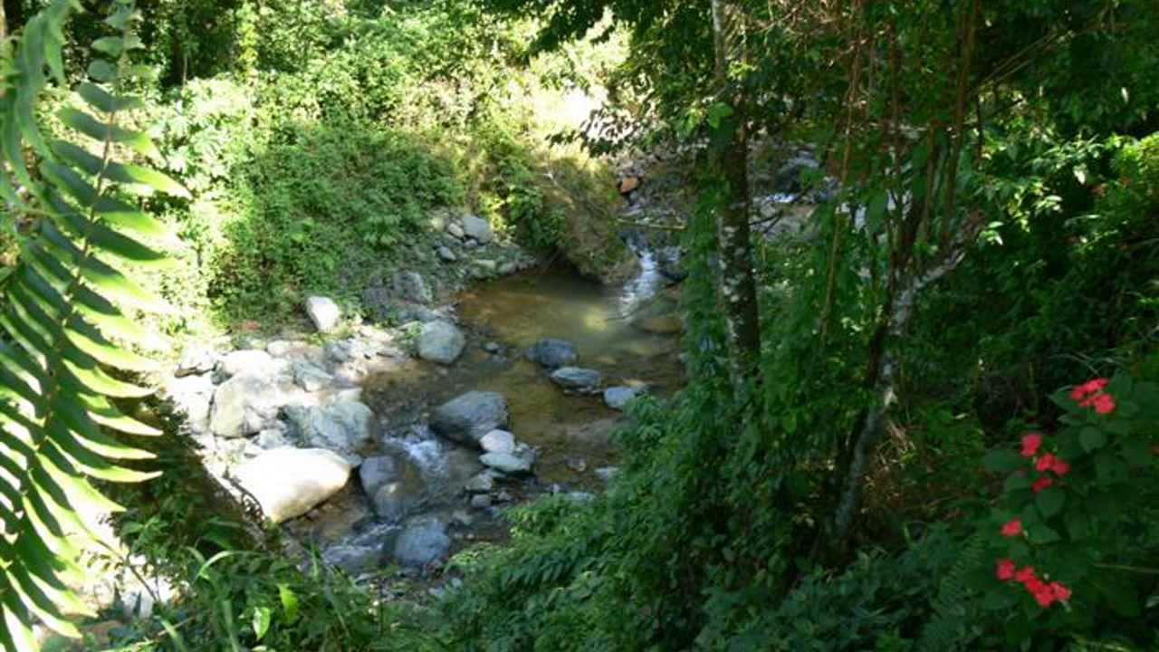 Dominican Republic Real Estate Mountain Land in Jarabacoa! Unique Caribbean Property